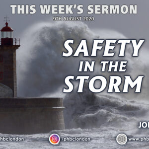 Safety in the Storm – Veronica King