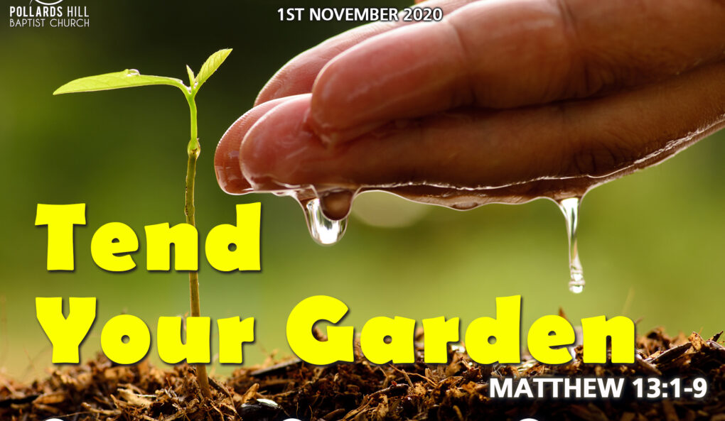 Tend Your Garden – Pastor Jasmine Richards