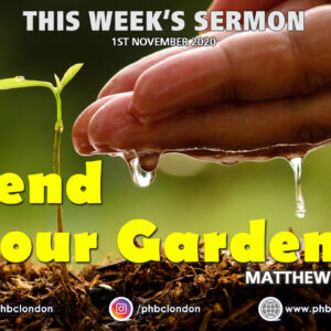 Tend Your Garden – Pastor Jasmine Richards