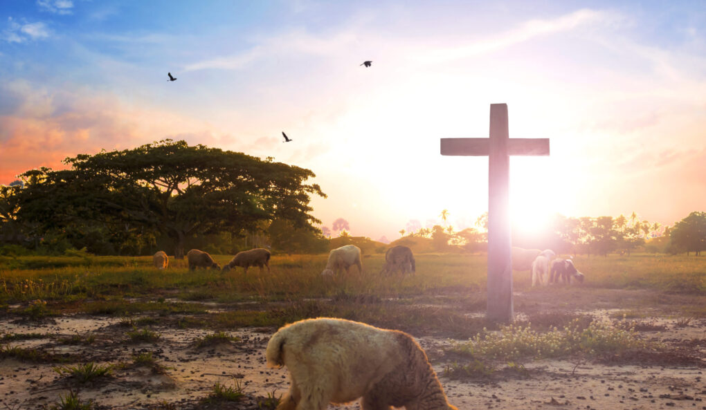 Passover and How Jesus – the Lamb of God – Is Its Fulfilment