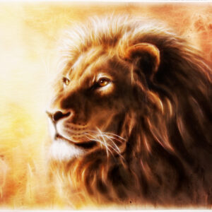 The Lion of the Tribe of Judah
