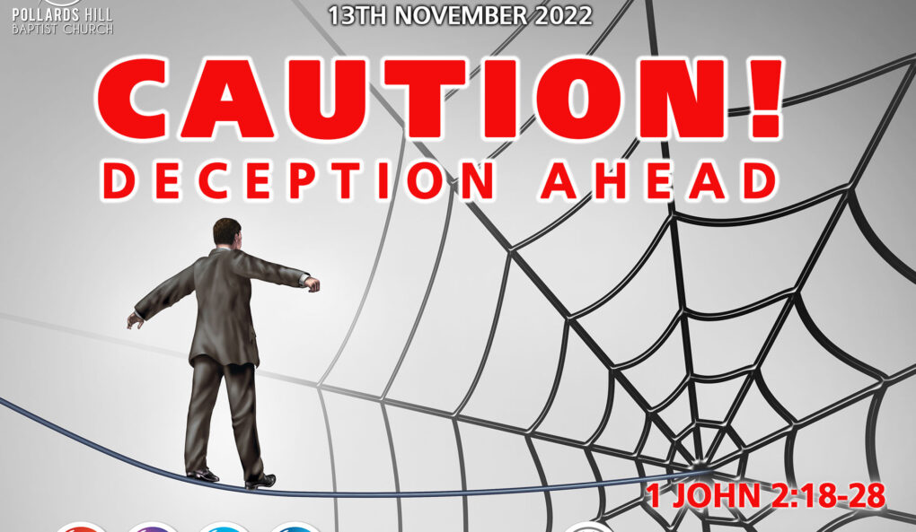 Caution: Deception Ahead – Pauline Barnes