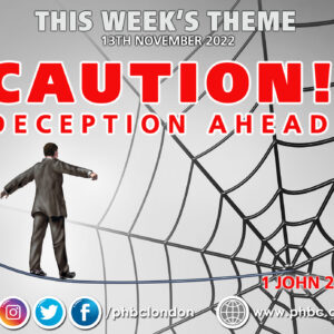 Caution: Deception Ahead – Pauline Barnes