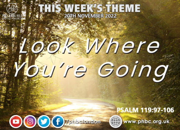 221120 Look Where You’re Going – Veronica King