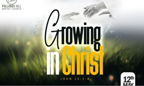 Growing in Christ – Pastor Deji Ayorinde