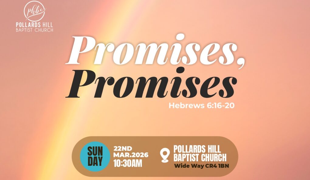 Promises, Promises – Andy White