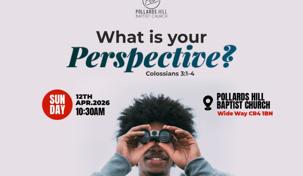 What’s Your Perspective? – Pauline Barnes