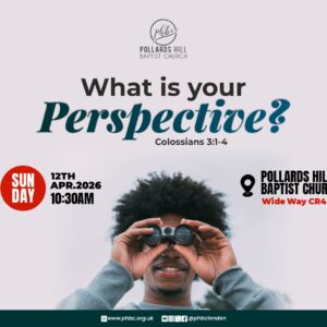 260412 What’s Your Perspective? – Pauline Barnes