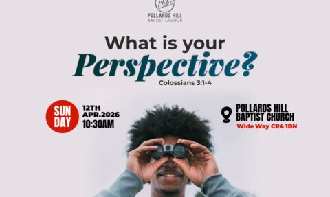 What’s Your Perspective? – Pauline Barnes
