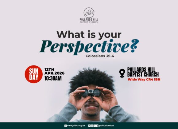 What’s Your Perspective? – Pauline Barnes